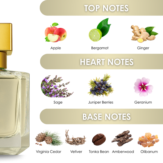 EGO - 50 ml