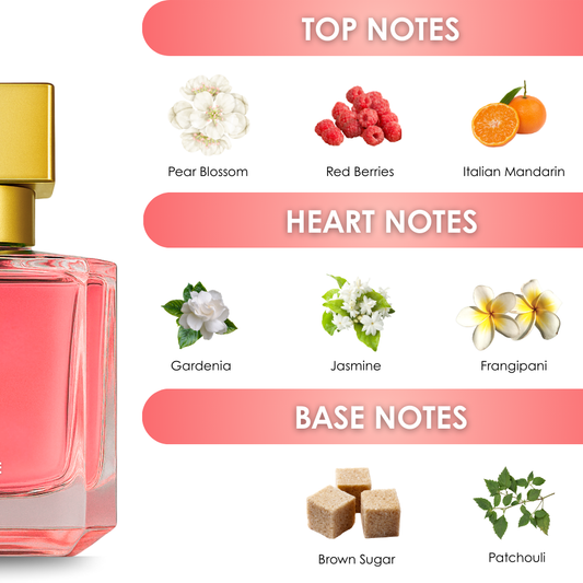 HEALER - 50 ml